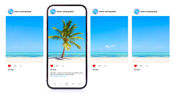 facebook reels download